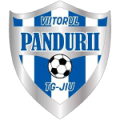 ACS Viitorul Pandurii Targu Jiu