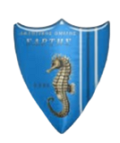 AO Sartis