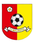 TJ Malinovo