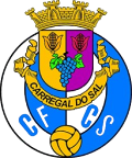 Carregal do Sal