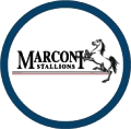 Marconi Stallions