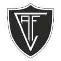 Viseu