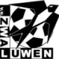 Zwaluwen