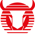 Toros Neza