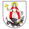 Sokol Liesek