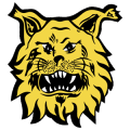 Ilves Tampere II