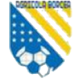 FC Agricola Borcea