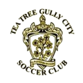 Tea Tree Gully City