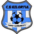 CS Gilortul Targu Carbunesti