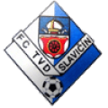 Slavicin