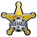 Vointa Cudalbi